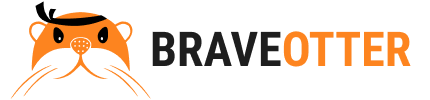 BraveOtter – eCommerce Search and Product Discovery. Increase Conversion and Sales